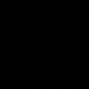 Meet your Posher, Stella